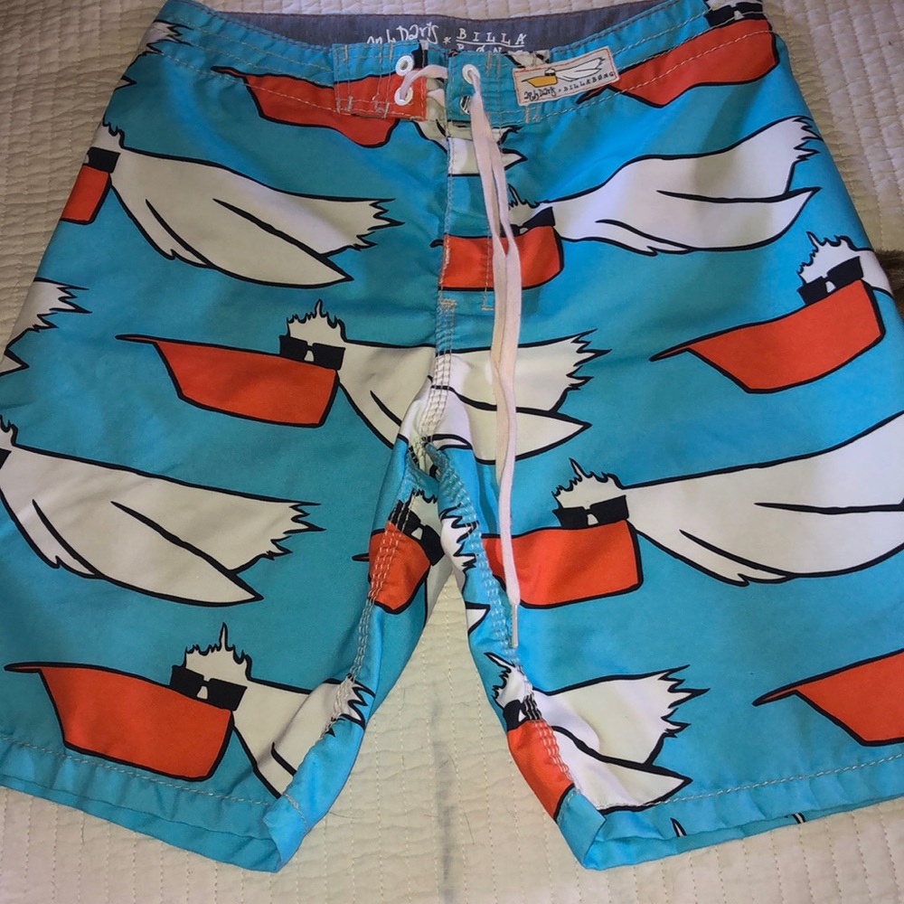 Billabong seagull swim